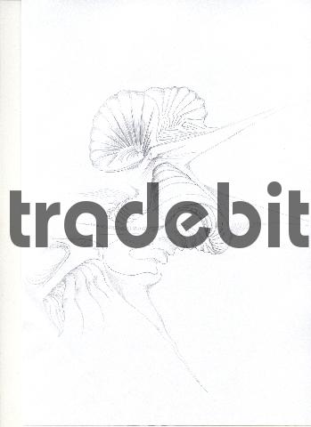 Product picture pencil drawing image02