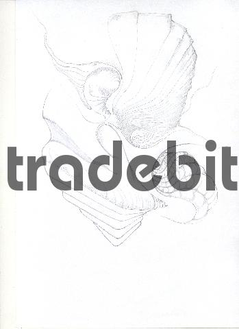 Product picture pencil drawing image03