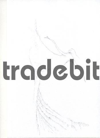 Product picture pencil drawing image05