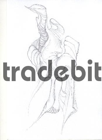 Product picture pencil drawing image07