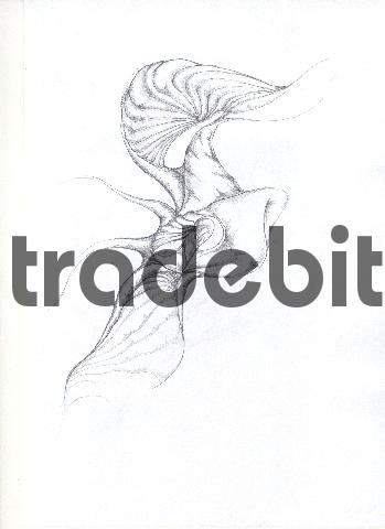 Product picture pencil drawing image10