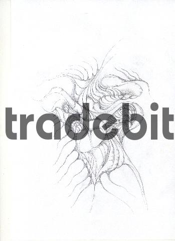 Product picture pencil drawing image11