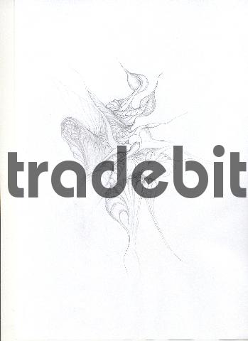 Product picture pencil drawing image12