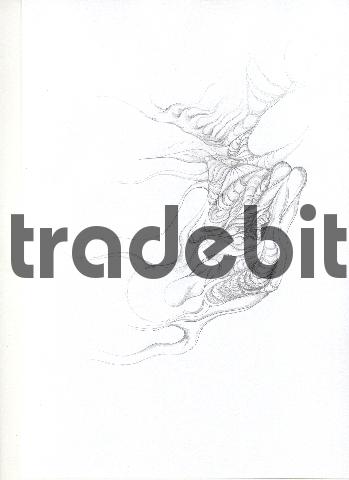 Product picture pencil drawing image14