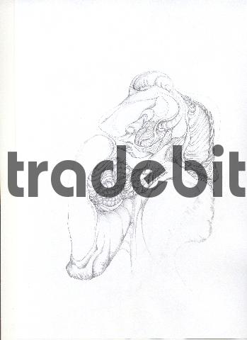 Product picture pencil drawing image15