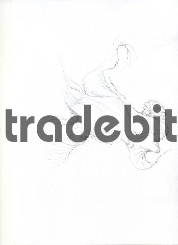 Product picture pencil drawing image16