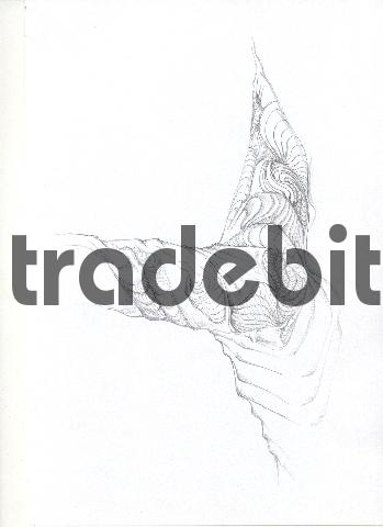 Product picture pencil drawing image18