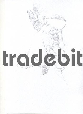 Product picture pencil drawing image20