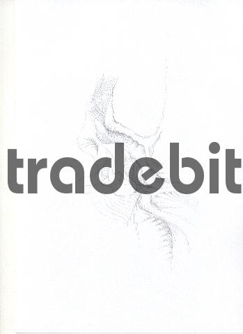 Product picture pencil drawing image22