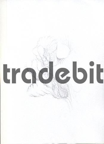 Product picture pencil drawing image25