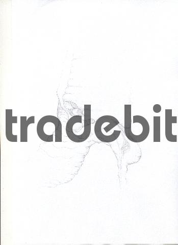 Product picture pencil drawing image26