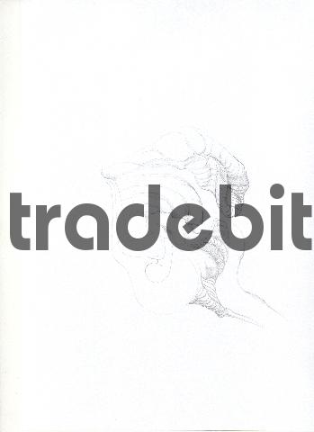 Product picture pencil drawing image29