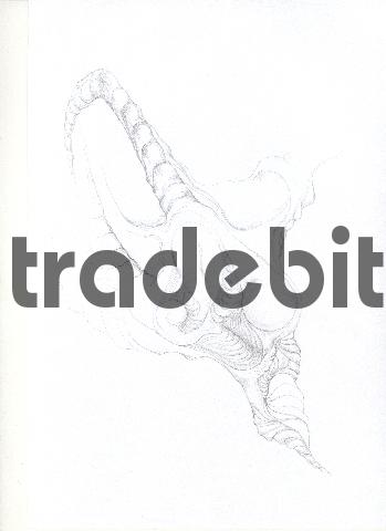 Product picture pencil drawing image31