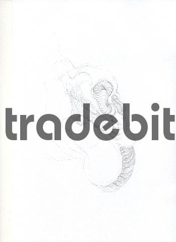 Product picture pencil drawing image32