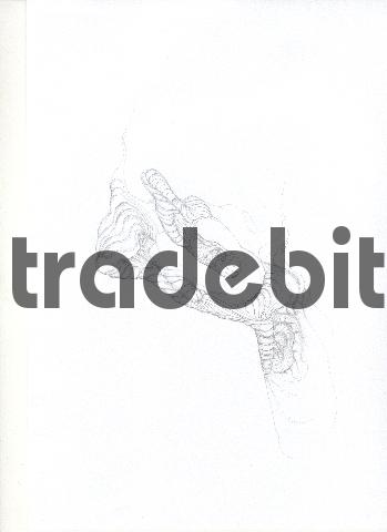 Product picture pencil drawing image33