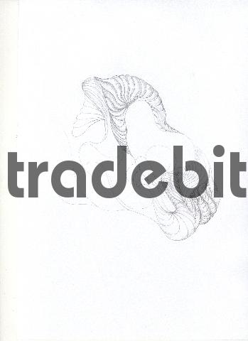 Product picture pencil drawing image34