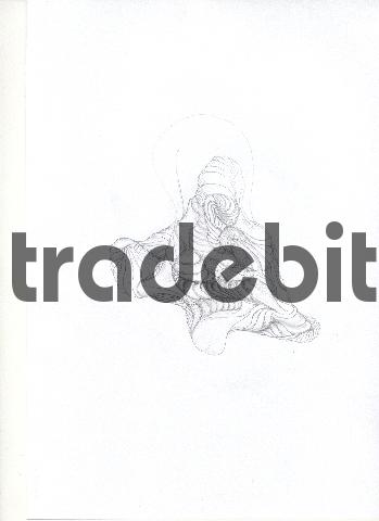 Product picture pencil drawing image35