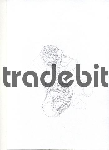 Product picture pencil drawing image36