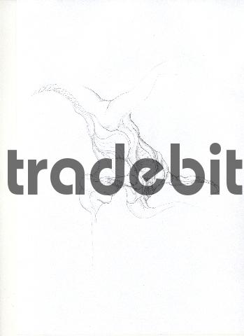 Product picture pencil drawing image39