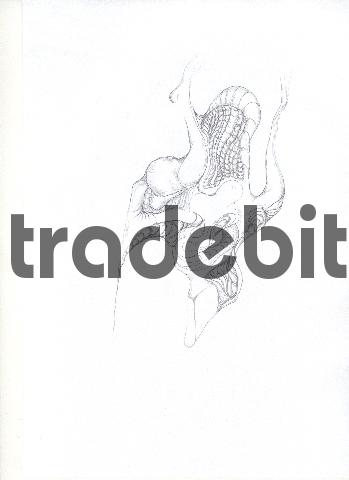 Product picture pencil drawing image40