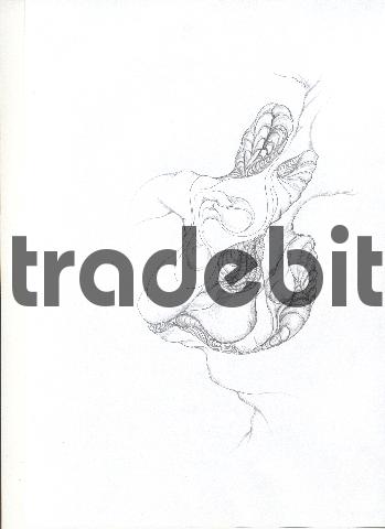 Product picture pencil drawing image41