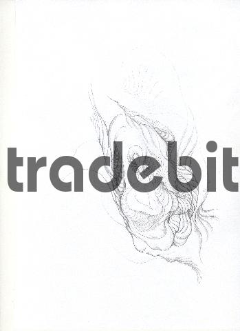 Product picture pencil drawing image42