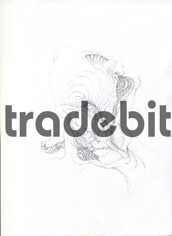 Product picture pencil drawing image43