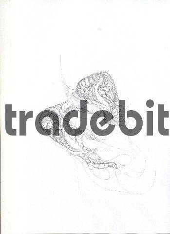 Product picture pencil drawing image45